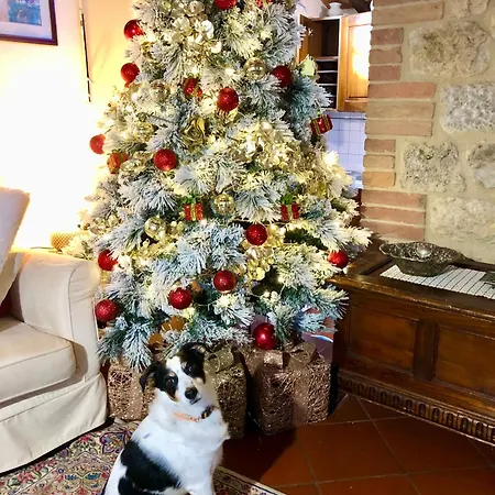 Casa vacanze Castello *